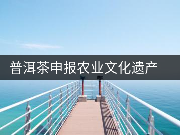 普洱茶申報(bào)農(nóng)業(yè)文化遺產(chǎn) 糧農(nóng)專(zhuān)家赴滇考察