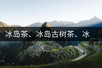 冰島茶、冰島古樹茶、冰島茶區(qū)茶、冰島茶區(qū)古樹茶
