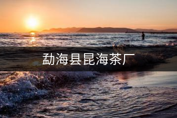 勐?？h昆海茶廠