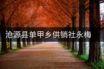 滄源縣單甲鄉(xiāng)供銷社永梅茶廠
