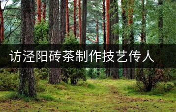 訪涇陽磚茶制作技藝傳人、陜西省非遺傳承人賈根社