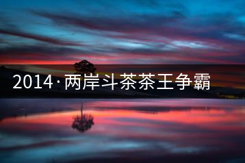 2014·兩岸斗茶茶王爭霸賽茶人觀點(diǎn)