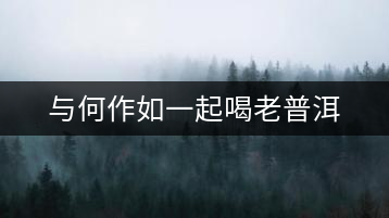 與何作如一起喝老普洱