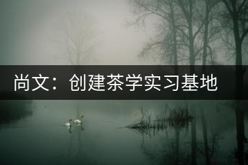 尚文:創(chuàng)建茶學實習基地努力推廣茶文化