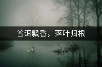 普洱飄香，落葉歸根