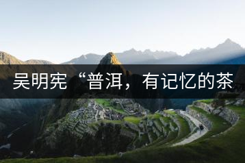 吳明憲“普洱，有記憶的茶品”