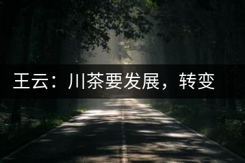 王云：川茶要發(fā)展，轉(zhuǎn)變思想是關(guān)鍵