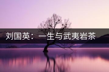 劉國英：一生與武夷巖茶結緣