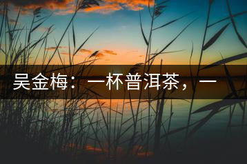 吳金梅：一杯普洱茶，一份云南情