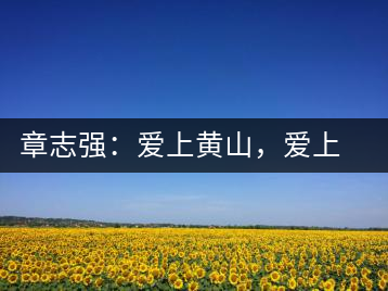 章志強(qiáng)：愛上黃山，愛上黃山的茶