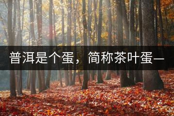 普洱是個(gè)蛋，簡(jiǎn)稱茶葉蛋——楊鎮(zhèn)瑜訪談錄