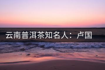云南普洱茶知名人：盧國(guó)齡