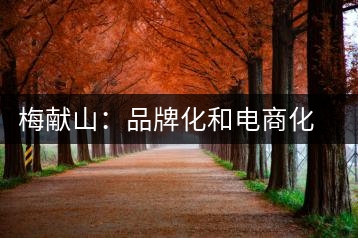 梅獻(xiàn)山：品牌化和電商化成為茶產(chǎn)業(yè)的第三個(gè)轉(zhuǎn)機(jī)