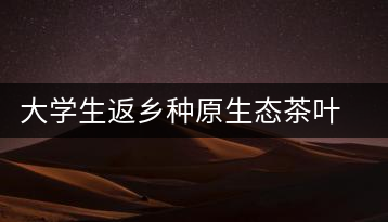 大學(xué)生返鄉(xiāng)種原生態(tài)茶葉 網(wǎng)上銷售獲好評(píng)