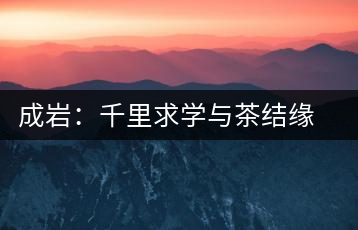 成巖：千里求學(xué)與茶結(jié)緣 借錢開店表演茶藝招攬顧客