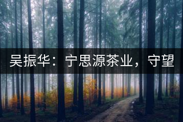 吳振華：寧思源茶業(yè)，守望家鄉(xiāng) 做好“金獎(jiǎng)茶王”