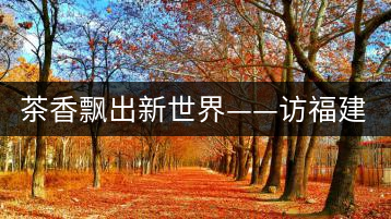 茶香飄出新世界——訪福建省天榮茶業(yè)有限公司董事長(zhǎng)沈丞榮