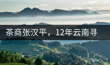 茶商張漢平，12年云南尋茶路