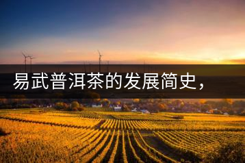 易武普洱茶的發(fā)展簡(jiǎn)史，昔日的貢茶如今依然輝煌