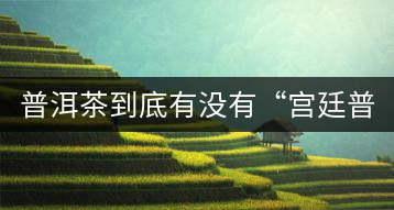 普洱茶到底有沒有“宮廷普洱”一說？它到底是什么？