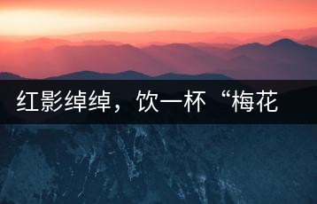 紅影綽綽，飲一杯“梅花”醉