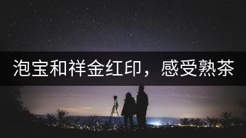 泡寶和祥金紅印，感受熟茶之美。