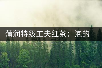 蒲潤(rùn)特級(jí)工夫紅茶：泡的方便，喝的舒適