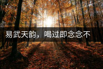 易武天韻，喝過即念念不忘的茶中皇后