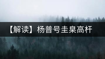 【解讀】楊普號(hào)圭臬高桿茶：形高、氣足、韻遠(yuǎn)的一款茶