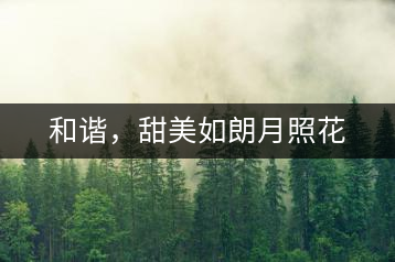 和諧，甜美如朗月照花