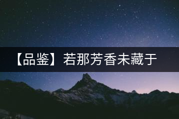【品鑒】若那芳香未藏于樟野，怎會這般獨具韻味？