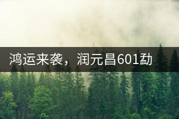 鴻運(yùn)來襲，潤元昌601勐海紅韻熟茶即將上市