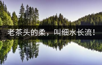 老茶頭的柔，叫細(xì)水長流！