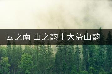 云之南 山之韻丨大益山韻，“韻”味傳奇之山韻歸來