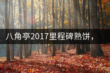 八角亭2017里程碑熟餅，自先發(fā)酵而后愛人