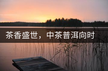 茶香盛世，中茶普洱向時(shí)代獻(xiàn)禮