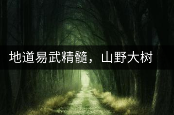 地道易武精髓，山野大樹珍品—普秀易武生態(tài)喬木圓茶即將上市