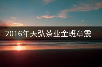2016年天弘茶業(yè)金班章震撼上市！