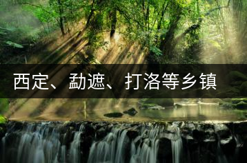 西定、勐遮、打洛等鄉(xiāng)鎮(zhèn)古茶樹資源