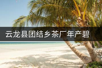 云龍縣團(tuán)結(jié)鄉(xiāng)茶廠年產(chǎn)碧螺春茶２５噸