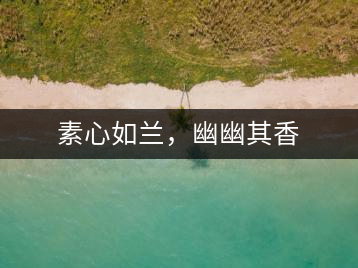 素心如蘭，幽幽其香