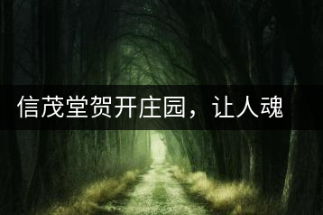 信茂堂賀開莊園，讓人魂?duì)繅?mèng)繞的名山古樹茶