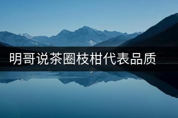 明哥說茶圈枝柑代表品質(zhì)高點(diǎn)，是玩家級的產(chǎn)品