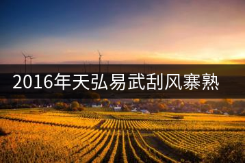 2016年天弘易武刮風(fēng)寨熟茶一泡耐人尋味！