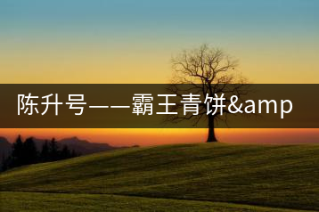 陳升號(hào)——霸王青餅&那卡