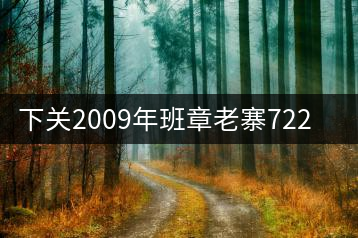 下關(guān)2009年班章老寨7223開湯品鑒
