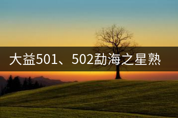 大益501、502勐海之星熟茶
