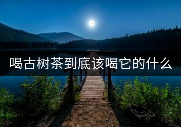 喝古樹(shù)茶到底該喝它的什么？