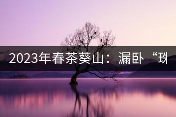 2023年春茶葵山：漏臥“珠江紅：1200元-3200元（有3個(gè)檔次）漏臥“大廠茶”：古樹(shù)單株8600-9000元／公斤，中樹(shù)4800-5200元／公斤，小樹(shù)混采2600-2800元／公斤。