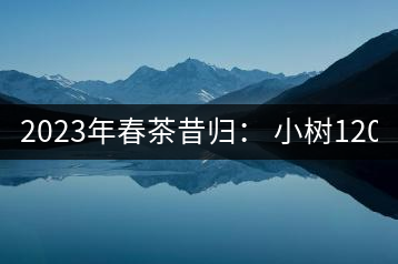 2023年春茶昔歸： 小樹1200-1600元／公斤，大樹4500-5200元／公斤，古樹7500-9000元／公斤.